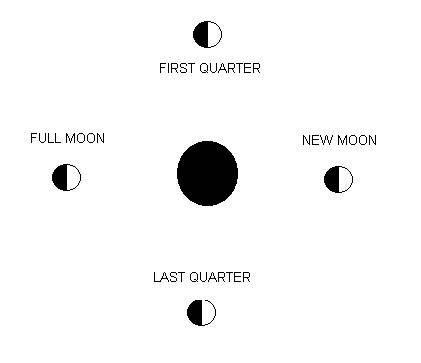 Usually 1/2 to 1/3 the size of spring tides.